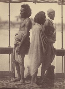 Portrait of Three Native Men Standing in Profile